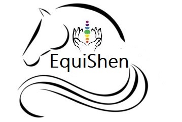 EquiShen Introductie chakra’s bij paarden